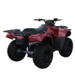 All Terrain Vehicles (ATV) are a leading cause of head injuries