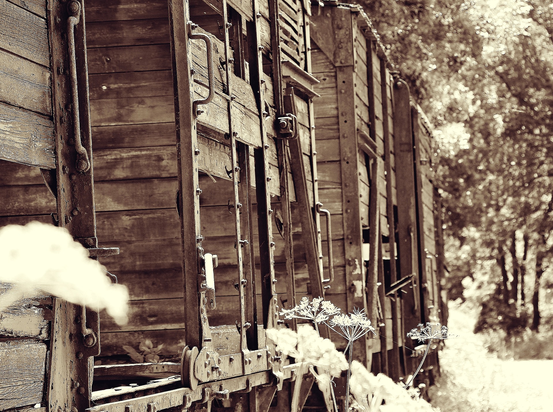 Train from 1880's