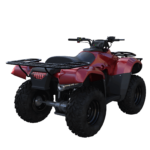 All Terrain Vehicles (ATV) are a leading cause of head injuries