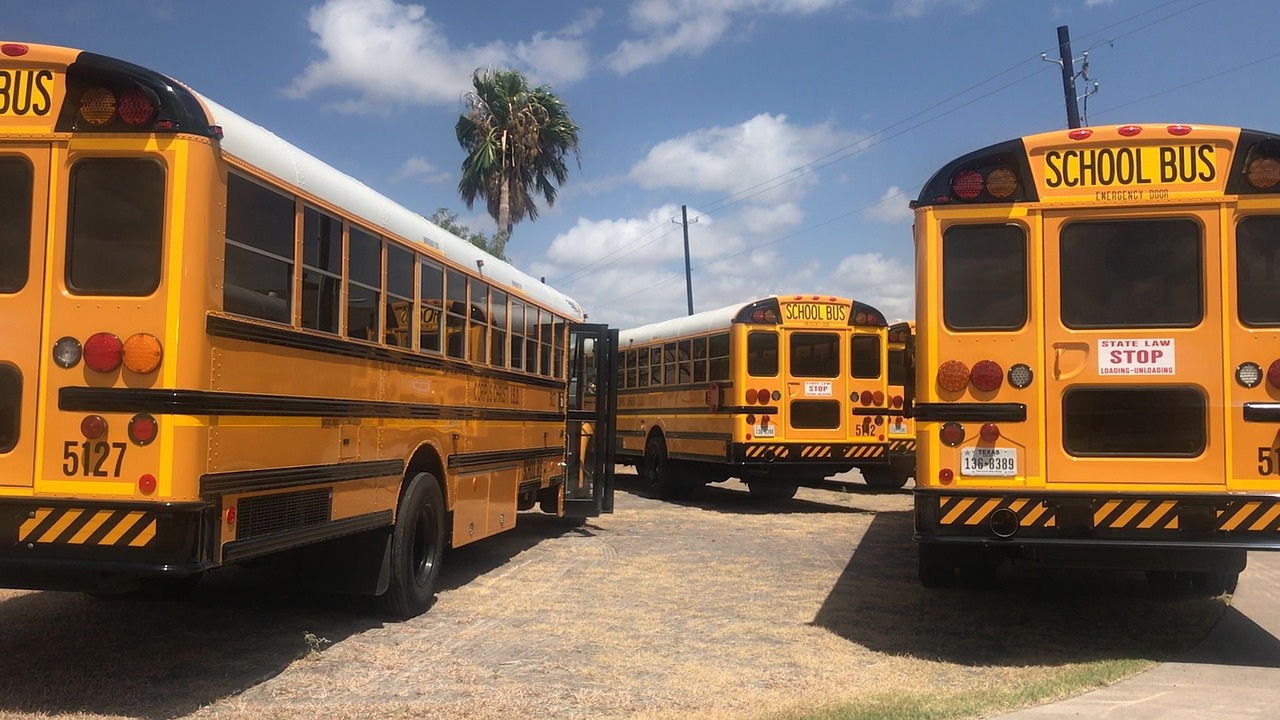 A group of school buses