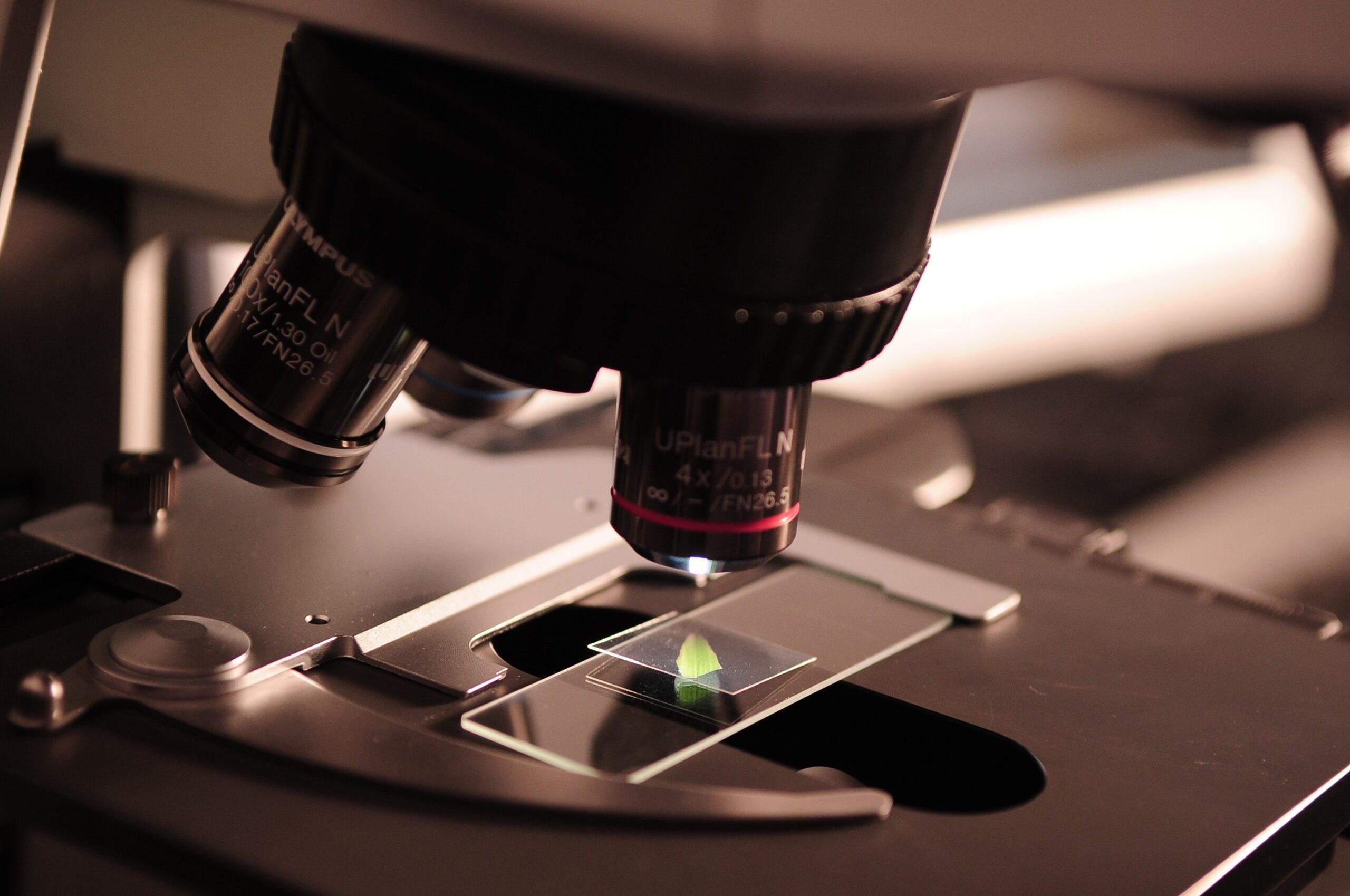 TBI Research