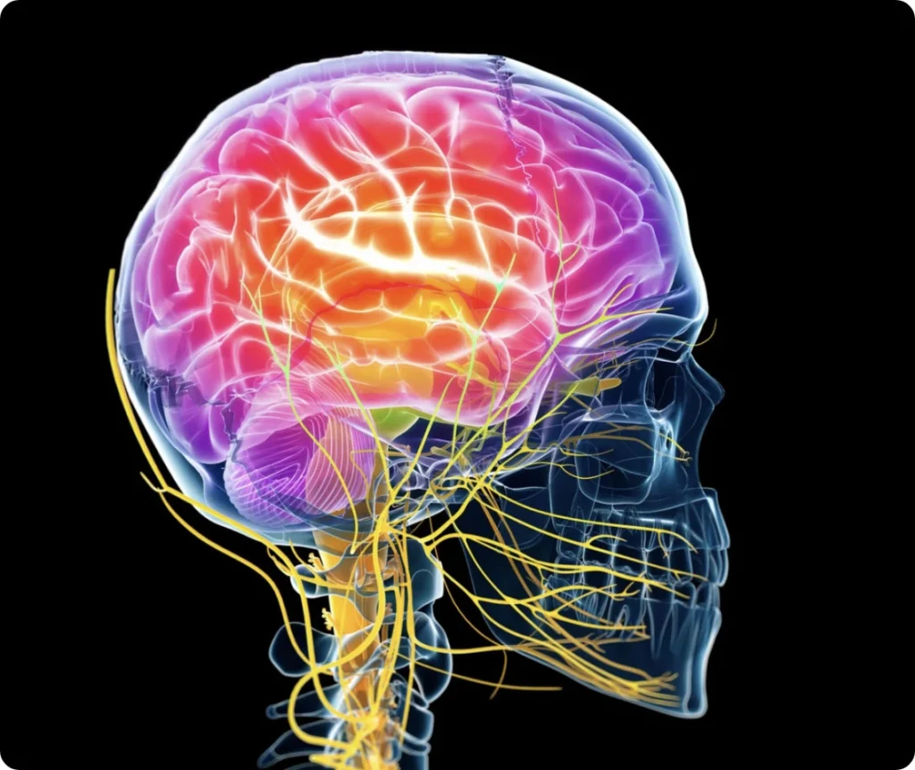 What is Traumatic Brain Injury?